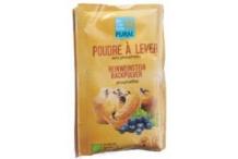 POUDRE A LEVER PURAL
