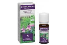 GERANIUM ROSAT