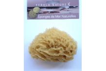 EPONGE DE MER NATURELLE