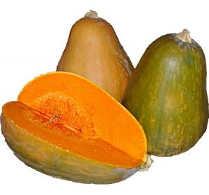 COURGE SUCRINE DU BERRY KG