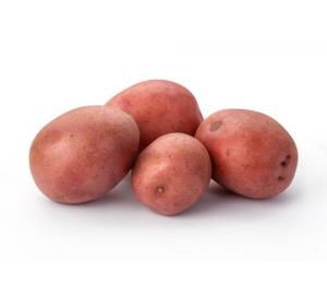 PDT ROUGE NOUVELLE KG