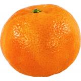 MANDARINE KG
