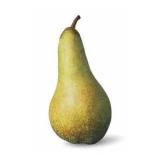 POIRE ANGELYS KG
