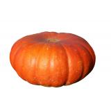 COURGE MUSCADE LE KG