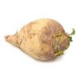 RUTABAGA LE KG