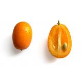 KUMQUAT KG