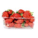 FRAISE  BARQUETTE 250GR