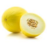 MELON CANARI KG