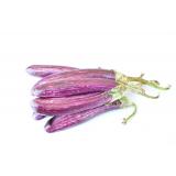 AUBERGINE GRAFFITI KG