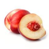 NECTARINE BLANCHE KG