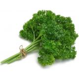 PERSIL FRISÉ