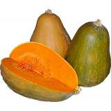 COURGE SUCRINE DU BERRY KG