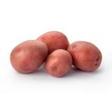 PDT ROUGE NOUVELLE KG