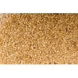 SESAME COMPLET VRAC KG