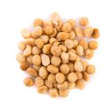 NOIX DE MACADAMIA KG