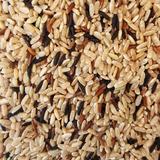 TRIO DE RIZ DE CAMARGUE VRAC KG