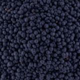 LENTILLE BELUGA VRAC KG