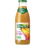 COCKTAIL 5 FRUITS 1L