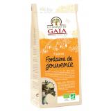 TISANE FONTAINE JOUVENCE